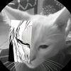 simonn_7773