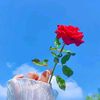 skywhispers_121