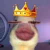 r_zoe9