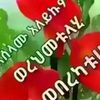 amermefth