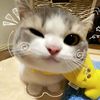 hana.maira50