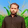 qasimjutt9222