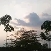 cm.nhung.nek0