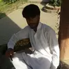 waqardon114