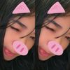 ping.ping8324