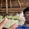 4bkenjay
