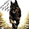 user4121734920126