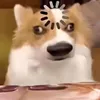 vphcminhnguyn