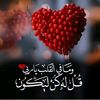 user4072462295323