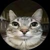 themostsigmacat