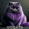 ben_picun_f6