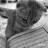 .husnahalimatunnisa