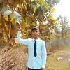 timro.bf.moh59