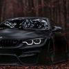 m4ariseyt