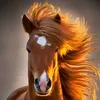 user27153880198016