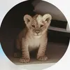 🐆 ﮼نمراوي 🐆