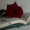 o_5jjk