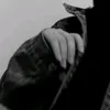 al_ror2009