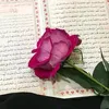 khagani1