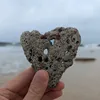 tphongnn