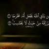 user8310870998305