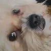 reireibooboo