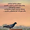 rezan.m.omer