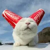 sir_pogremushkin