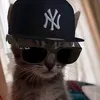 justfrancescoo
