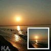 mavili19_