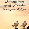 user8539042083611