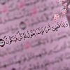.menna521