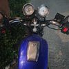 kingmilea_135
