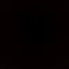 isa_borgess3