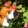 melbel_lps