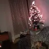 chantal.cervantes8