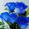 user2183900081530