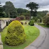 hama_yabani5