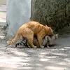 usolkemoqjq