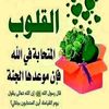 user7131086811311