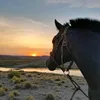 sebastian_avila.01
