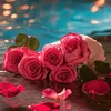 user9198536121119