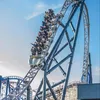 adrenaline_junkie265