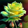 user7856199407384