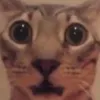 lihaisapossuu