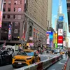 new.york2244