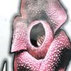 user2442599546796