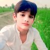 shanimalik5687