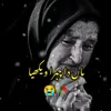 کشمیری شہزادہ 05