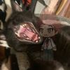 pissbaby067